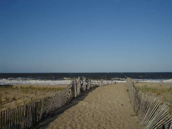 Surf Club Oceanfront Hotel Dewey Beach Extérieur photo